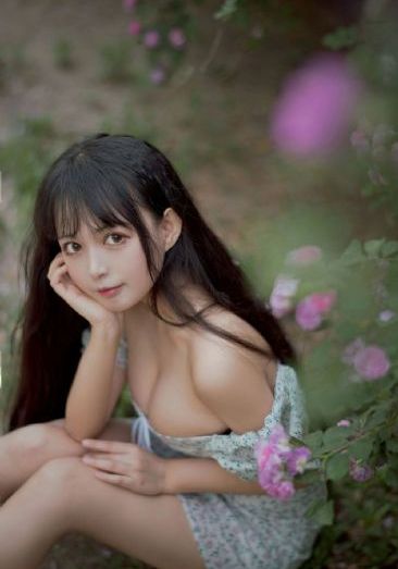 藏海花电视剧
