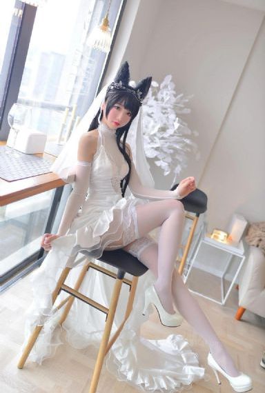 免费看美女网站