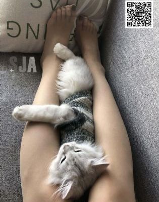 我的宝贝小乖乖快到我怀里来原唱