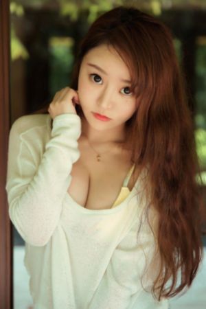 闻香探案录电视剧免费观看