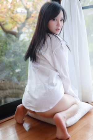 新金梅瓶之爱奴3国语版