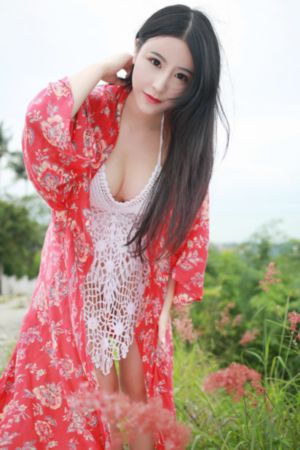龙门镖局演员表