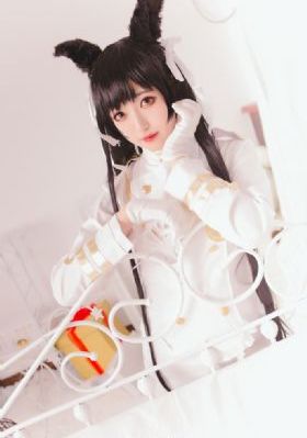警花与警犬第二季观看