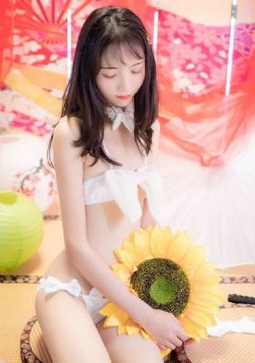 free第二季