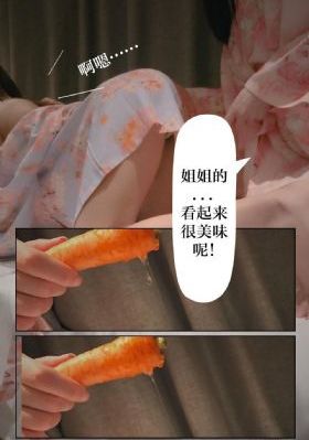 警花与警犬电视剧